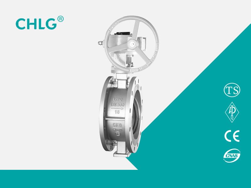 Stainless Steel Flange Butterfly Valve