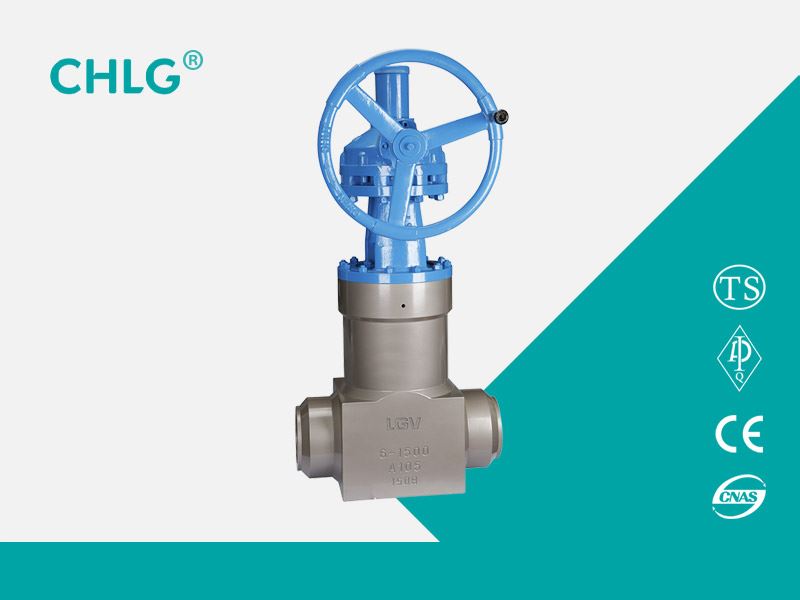 Forged Power Station Gate Valve
