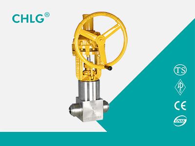 Forged Power Station Gate Valve 