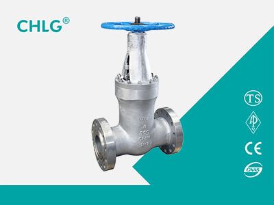 Stainless Steel Power Station Gate Valve 