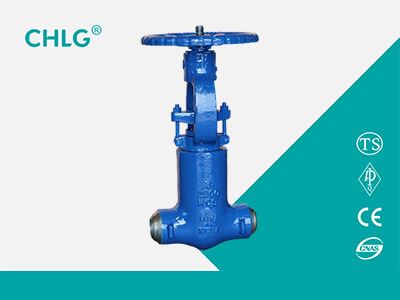Power Station Gate Valve