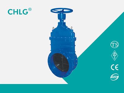 Manual Soft Seal Gate Valve