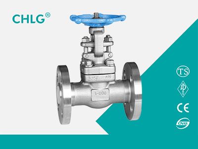 Stainless Steel Flanged Gate Valve