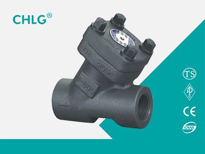 Y Type Check Valve