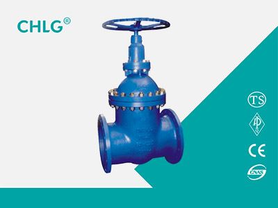 Bellow Sealed  Gate Valve