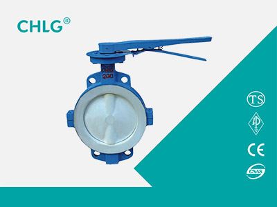 Butterfly Valve Lined Teflon