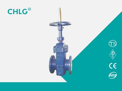 Manual Flat Gate Valve
