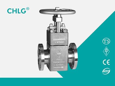 Special Material Globe Valve