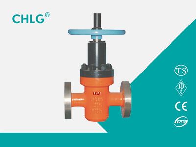 Special Valve for Oil Field