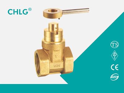 Magnetic Gate Valve