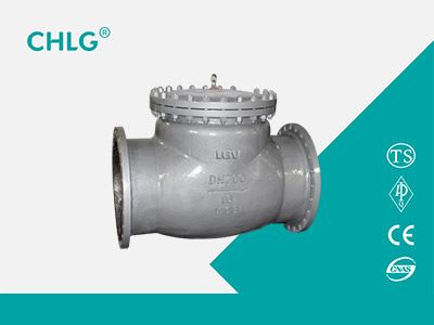 Swing Check Valve