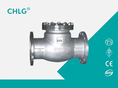 Stainless Steel Check Valve