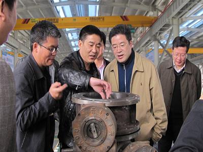 Lishui Yunhe County Mayor Li