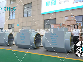 Запорный клапан Lianggu поставлен для первого демонстрационного проекта по хранению энергии расплавленных солей на тепловой электростанции в Китае.